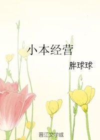 《小本經營》