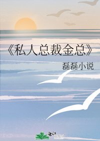 《私人总裁金总》