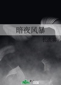 《暗夜風暴》