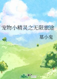 《宠物小精灵之无限旅途》