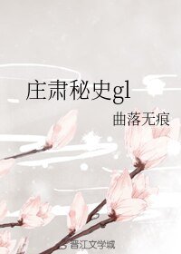 《庄肃秘史gl》