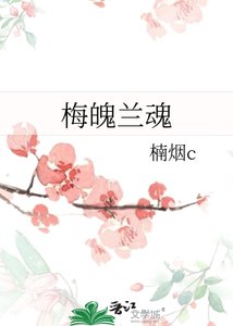 《梅魄兰魂》