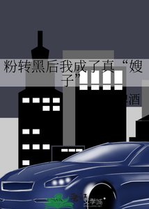 《粉转黑后我成了真“嫂子”》
