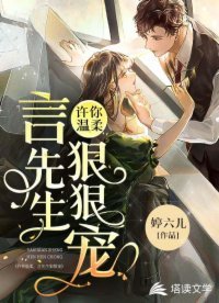 《许你温柔,言先生狠狠宠》