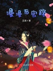 《漫漫后宫路》