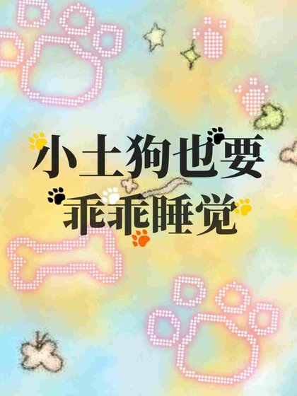 《小土狗也要乖乖睡觉》