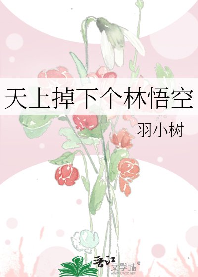 《天上掉下个林悟空》