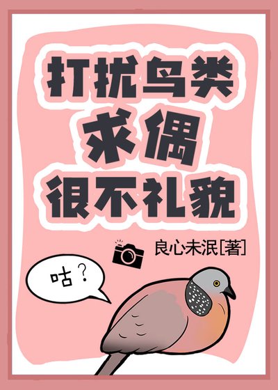 《打擾鳥類求偶很不禮貌!》
