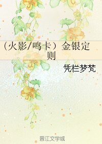 《(BL/火影同人)(火影/鸣卡)金银定则》