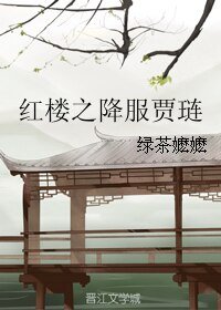 《(BG/红楼同人)红楼之降服贾琏》