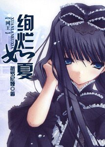 《(网王同人)绚烂如夏》