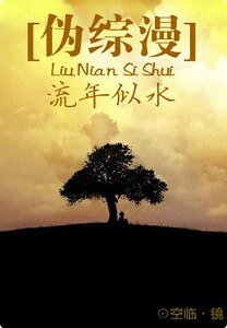 《(伪综漫同人)流年似水》