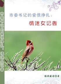 《市委书记的爱恨挣扎:情迷女记者》